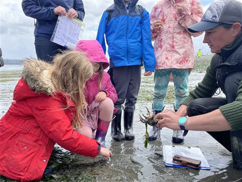 Students looking at a crab